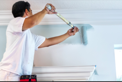 The Ultimate Guide to Commercial Interior Painting Services in Auckland: Affordable, Professional, and High-Quality Solutions