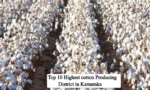 Top 10 Cotton Producing Districts in...