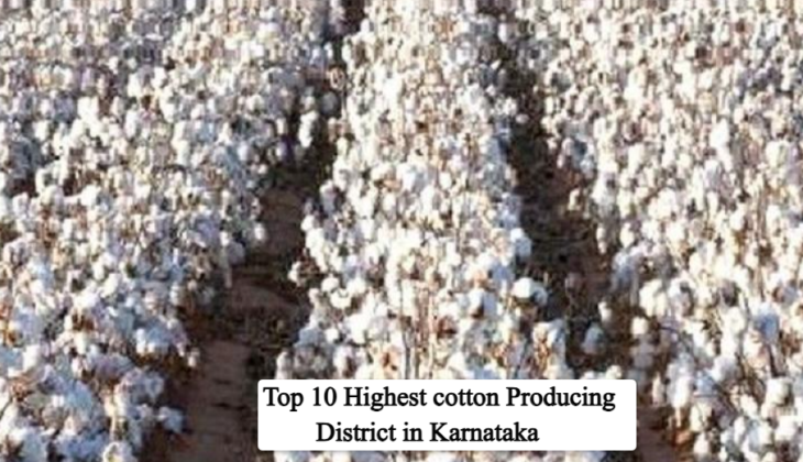 top 10 highest cotton producing district in Karnataka
