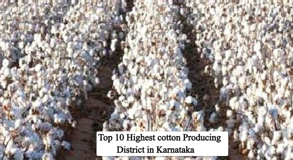Top 10 Cotton Producing Districts in Karnataka 2026